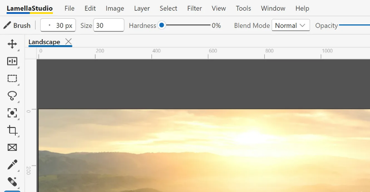 Lamella Studio toolbar and Brush tool options bar