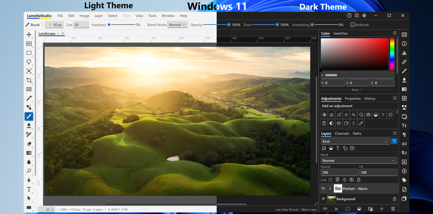 Lamella Studio On Windows 11 - Main window, light and dark theme