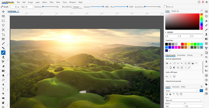 Lamella Studio workspace with toolbar, options bar, canvas and docked panels